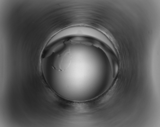 X0000090481242200707131310