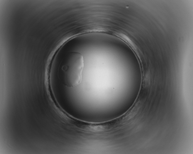 X0000090481243200707131310