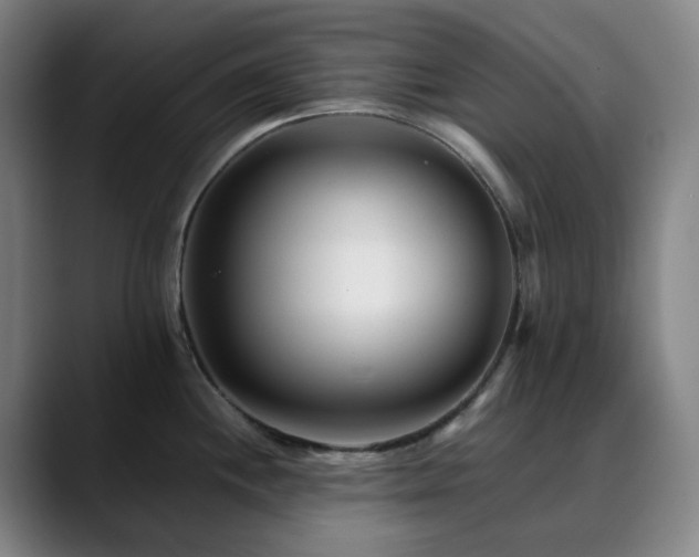 X0000090481244200707131310