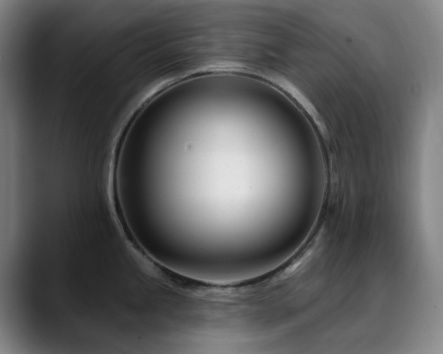 X0000090481245200707131310