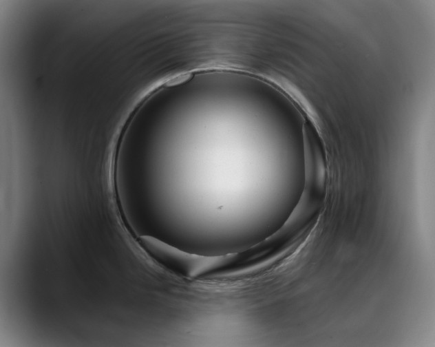 X0000090481246200707131310