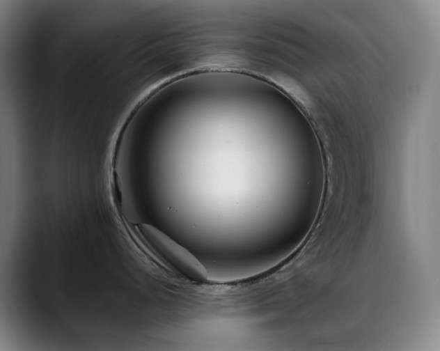 X0000090481248200707131310
