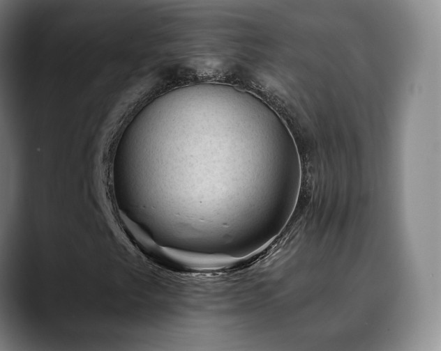X0000090481249200707131310