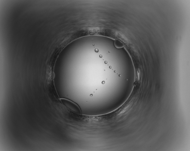 X0000090481251200707131310