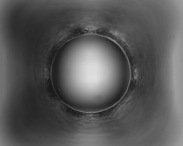 X0000090481253200707131310