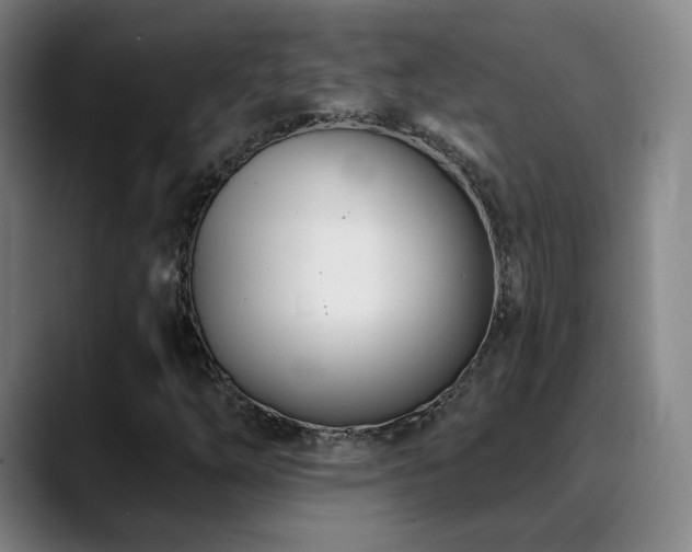 X0000090481254200707131310