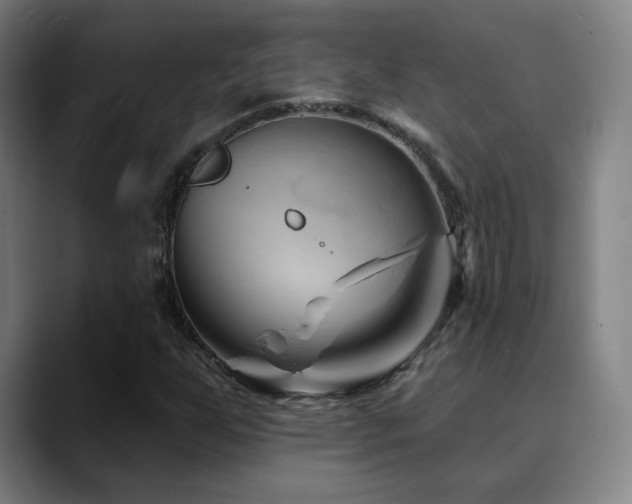 X0000090481255200707131310