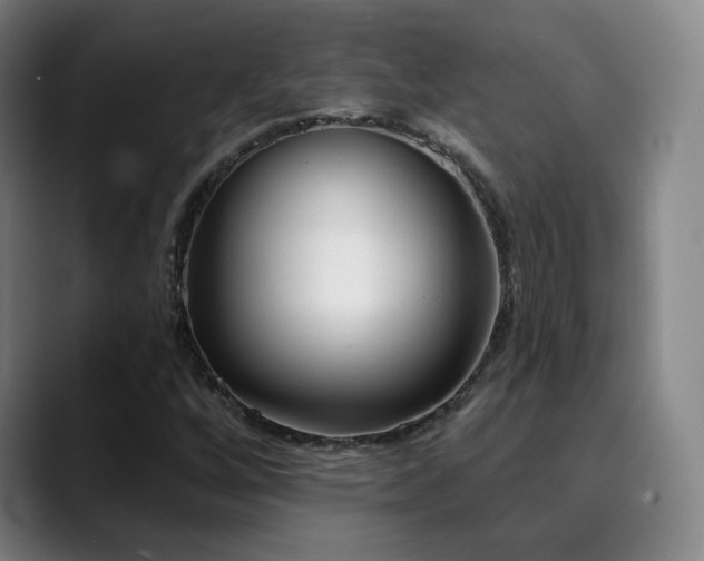 X0000090481256200707131310