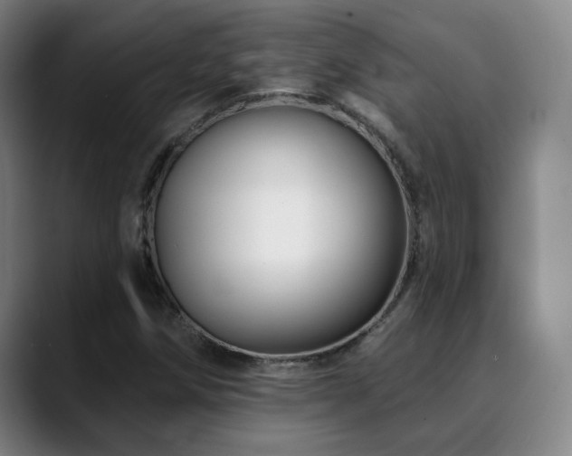 X0000090481258200707131310
