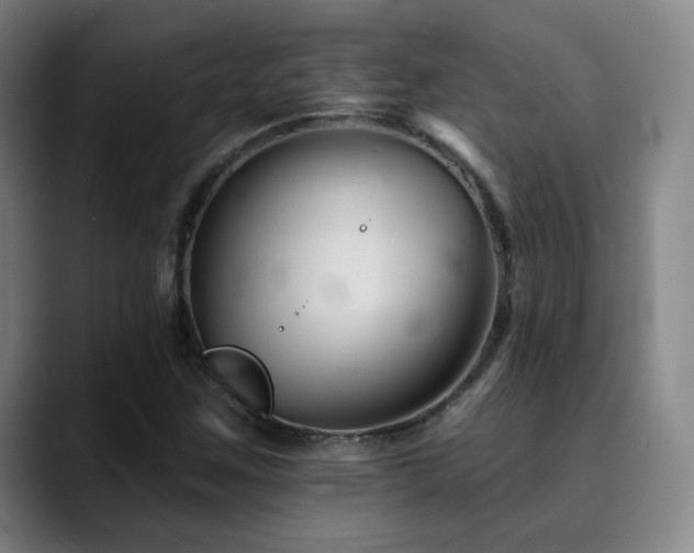 X0000090481259200707131310