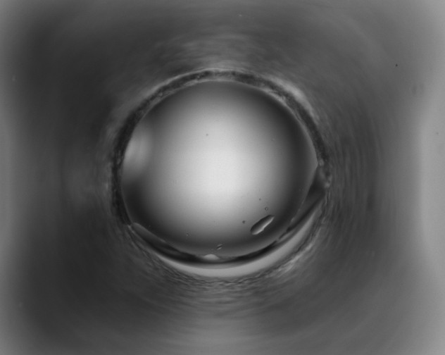 X0000090481263200707131309