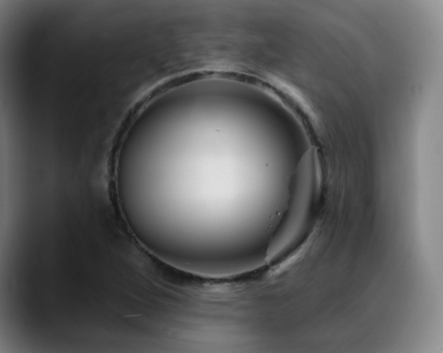 X0000090481264200707131309