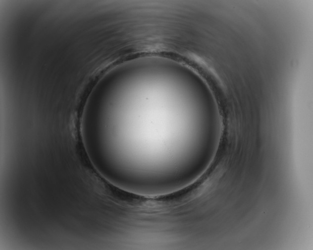 X0000090481265200707131309