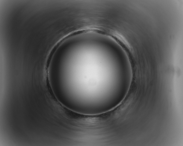 X0000090481268200707131309