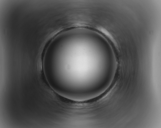 X0000090481269200707131309