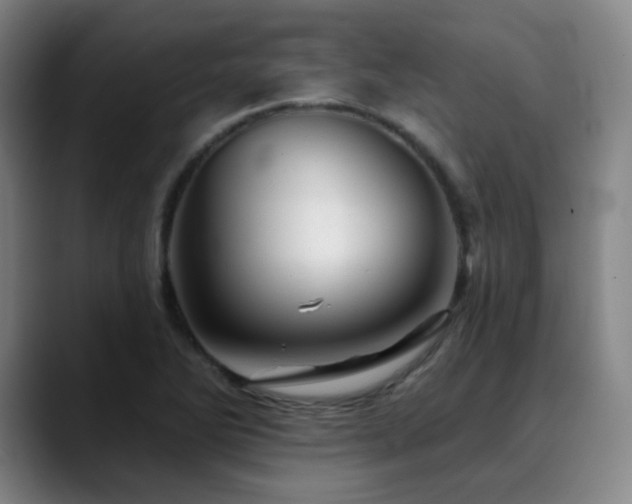 X0000090481270200707131309