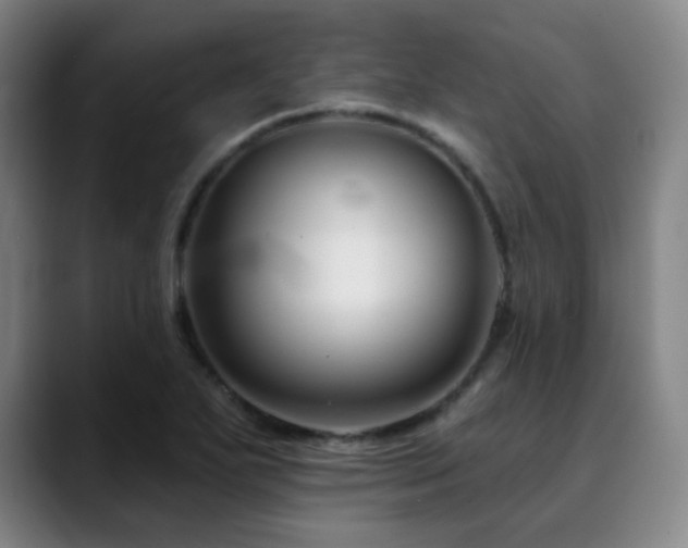 X0000090481271200707131309