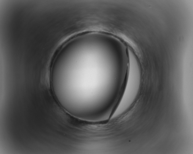 X0000090481272200707131309