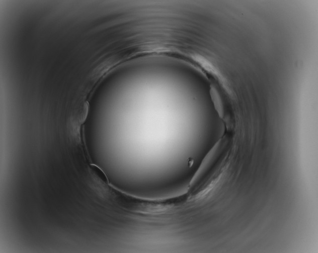 X0000090481273200707131309