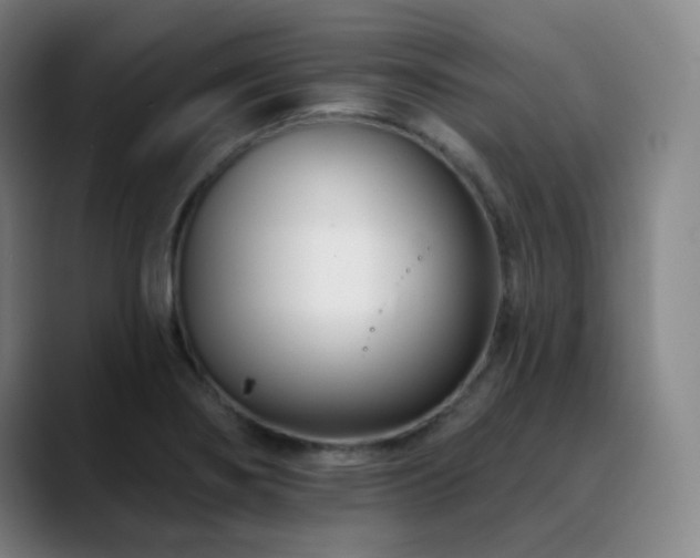 X0000090481274200707131309