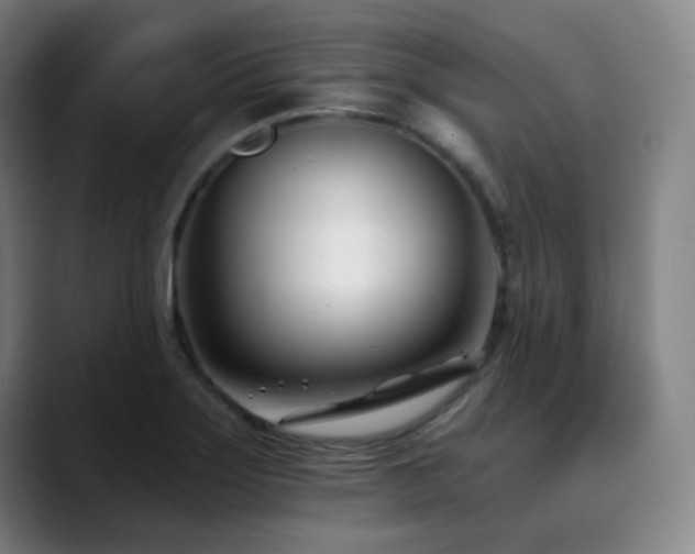 X0000090481275200707131309