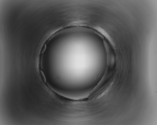 X0000090481277200707131309