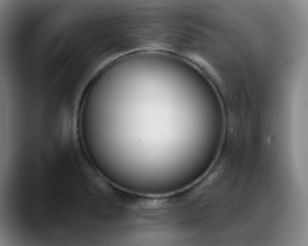 X0000090481278200707131309