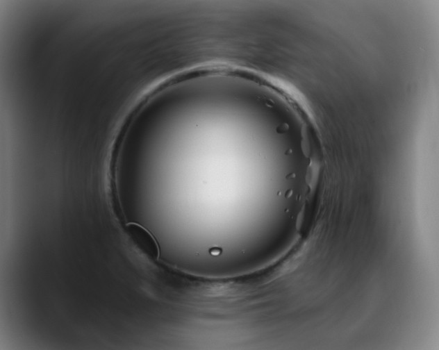 X0000090481279200707131309