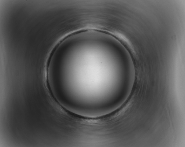 X0000090481280200707131309