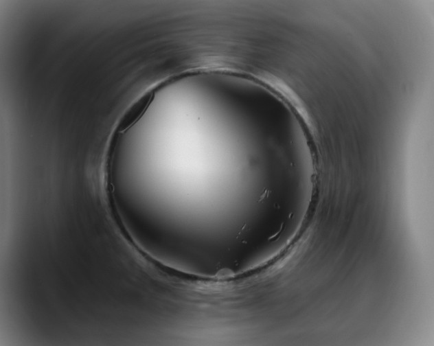 X0000090481285200707131309