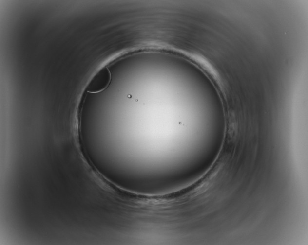 X0000090481287200707131309