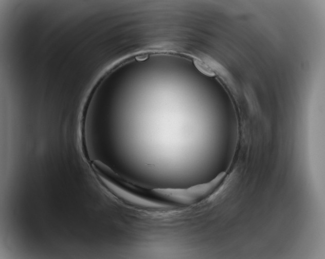 X0000090481288200707131309