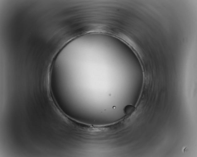 X0000090481290200707131309