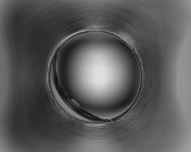 X0000090481296200707131309