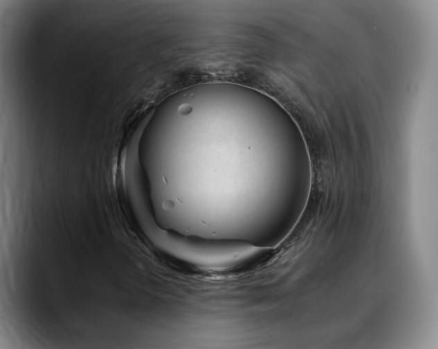 X0000090481298200707131308