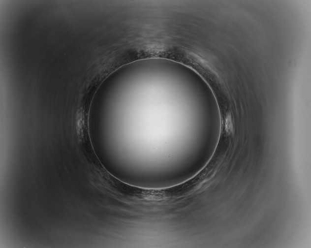 X0000090481299200707131308