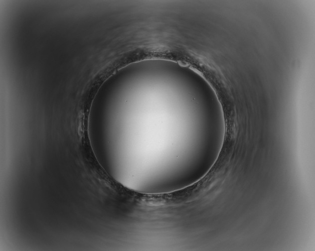 X0000090481301200707131308