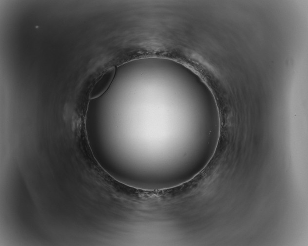 X0000090481302200707131308