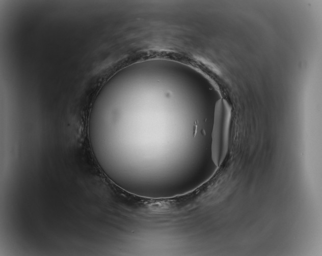 X0000090481303200707131308