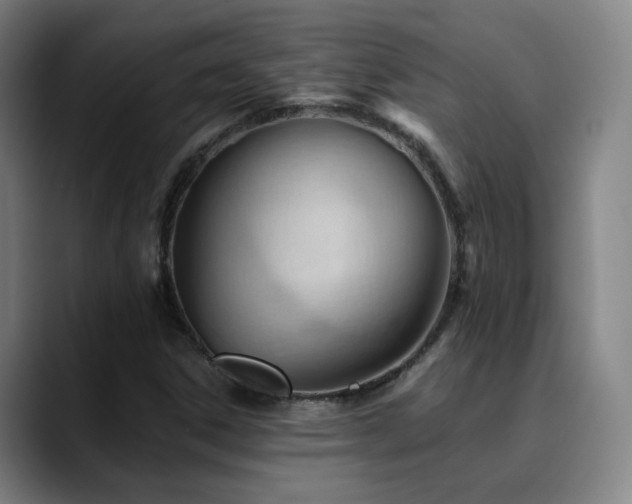 X0000090481306200707131309