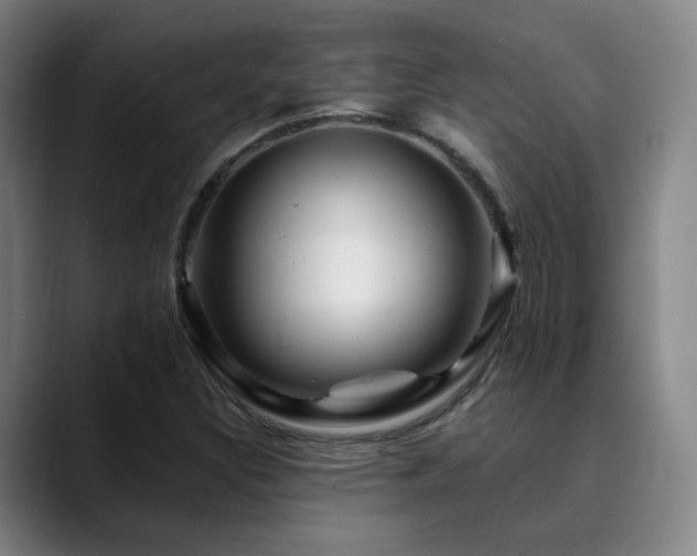 X0000090481308200707131309