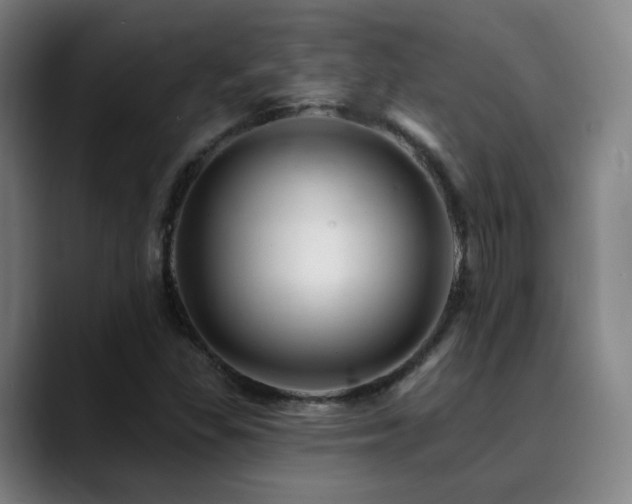 X0000090481309200707131309