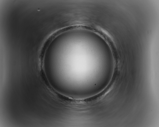 X0000090481310200707131309