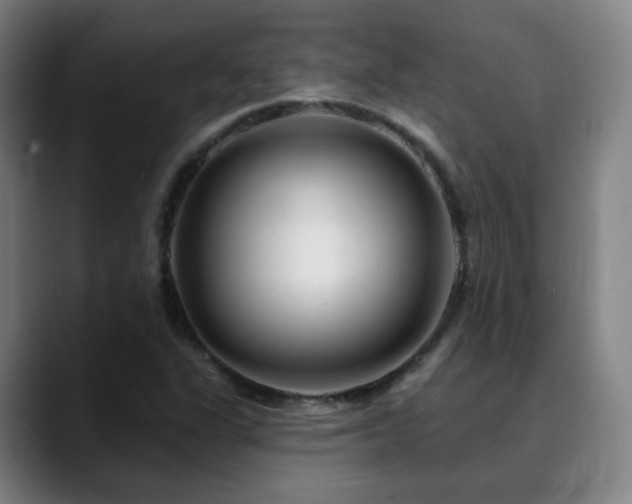 X0000090481311200707131309