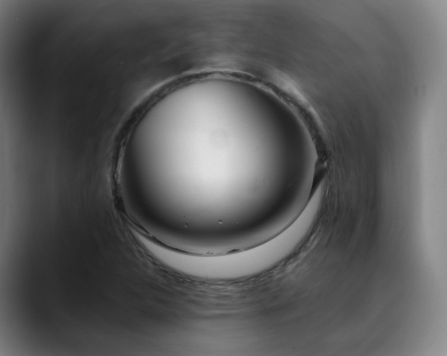 X0000090481312200707131309