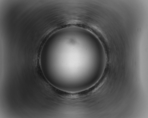 X0000090481313200707131309