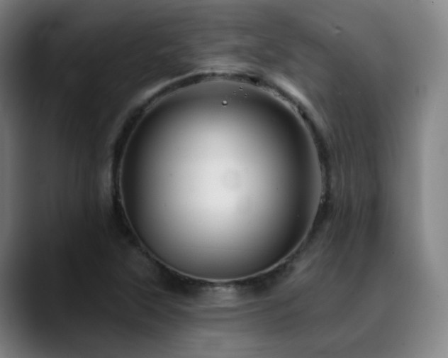 X0000090481315200707131309