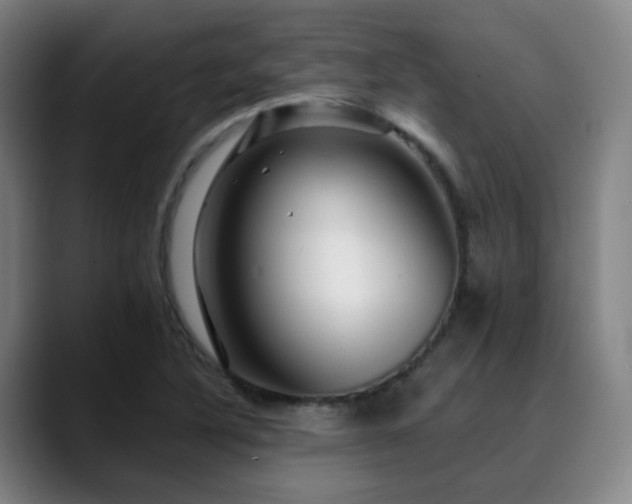 X0000090481316200707131309