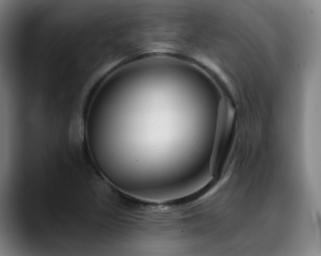X0000090481317200707131309