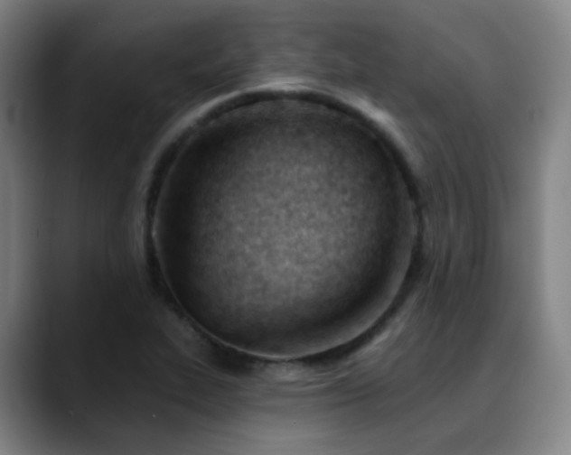 X0000090481319200707131309
